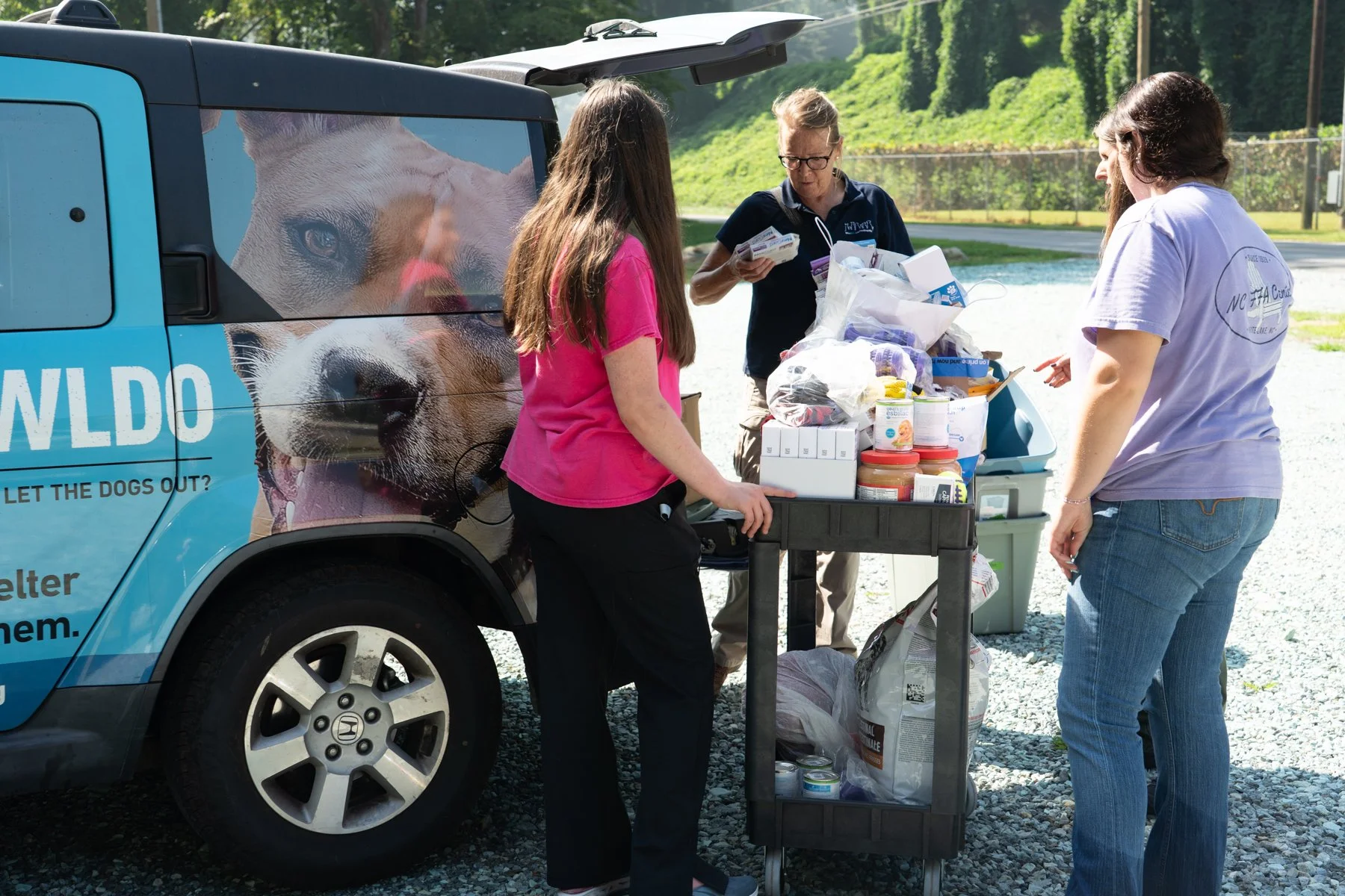 227 Shelter Visits Later: What We Get Wrong About 'No-Kill'