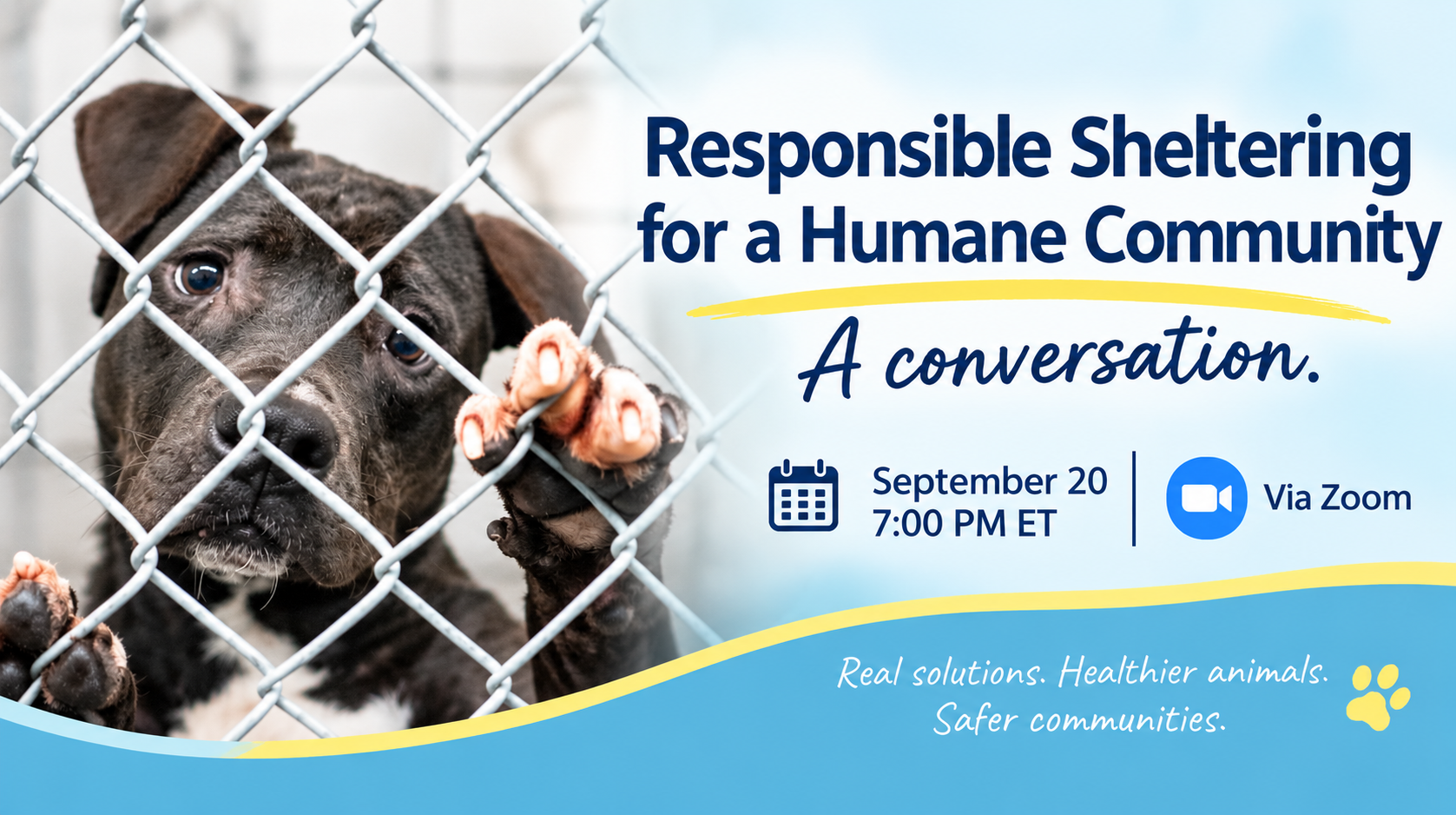 The Animal Shelter System Is Broken: It’s Time for a Real Conversation