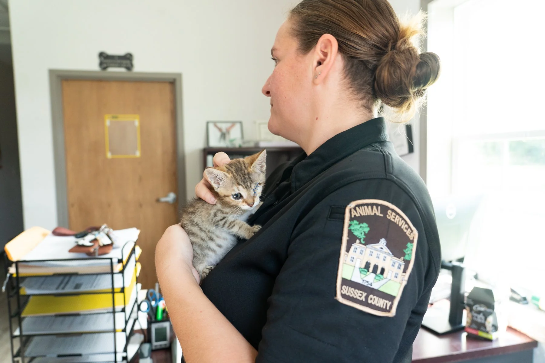 The Middle of Nowwhere, the Center of Care: Sussex County Animal Shelter