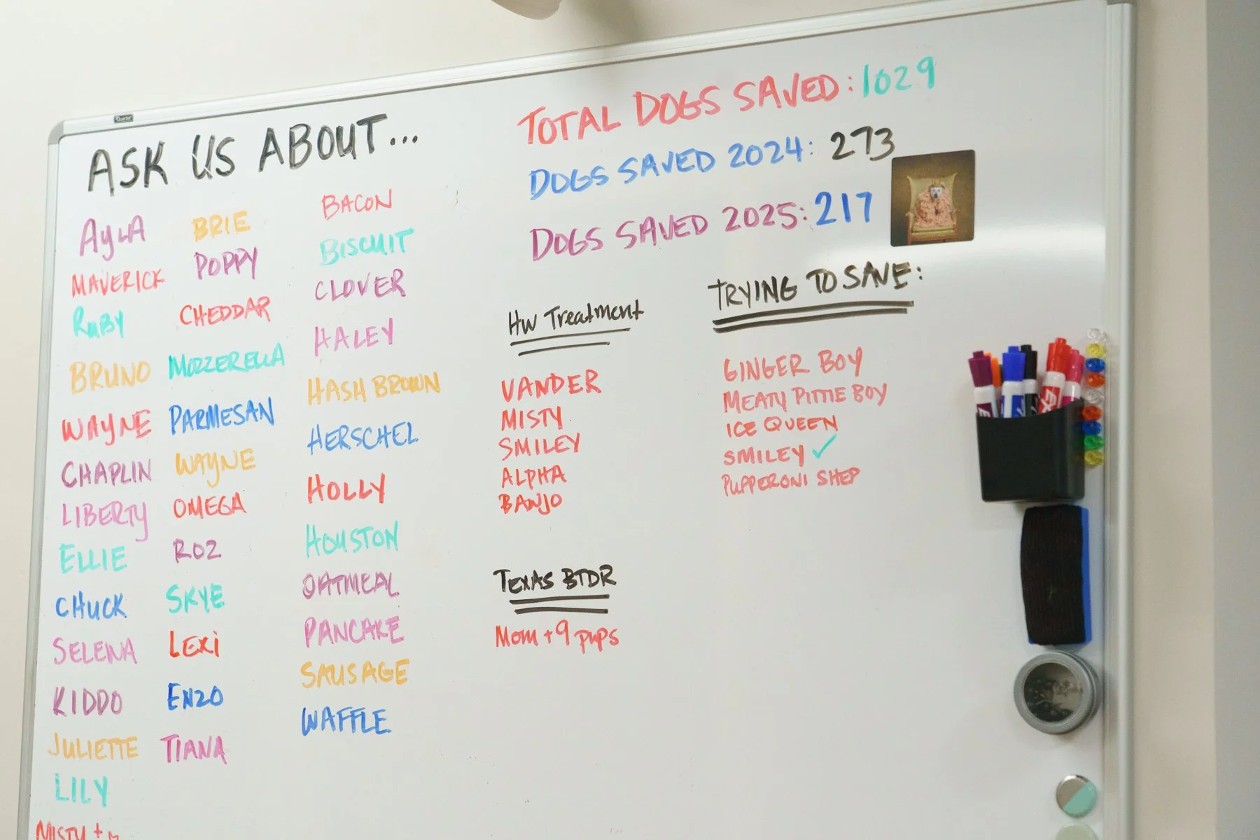 white board listing all dogs saved and dogs trying to save plus dogs who are in heartworm treatment