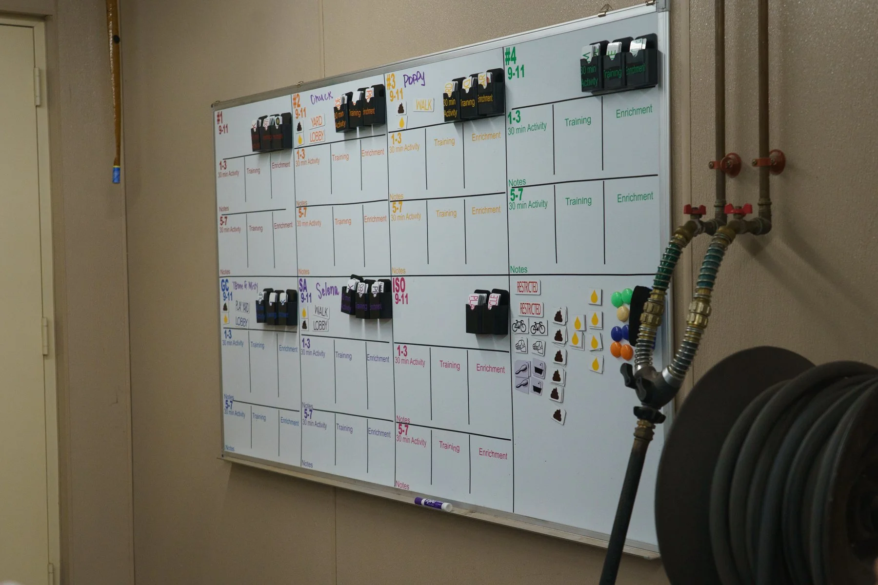 white board with lists of dogs in care and volunteer jobs with magnetic tiles to mark what has been done