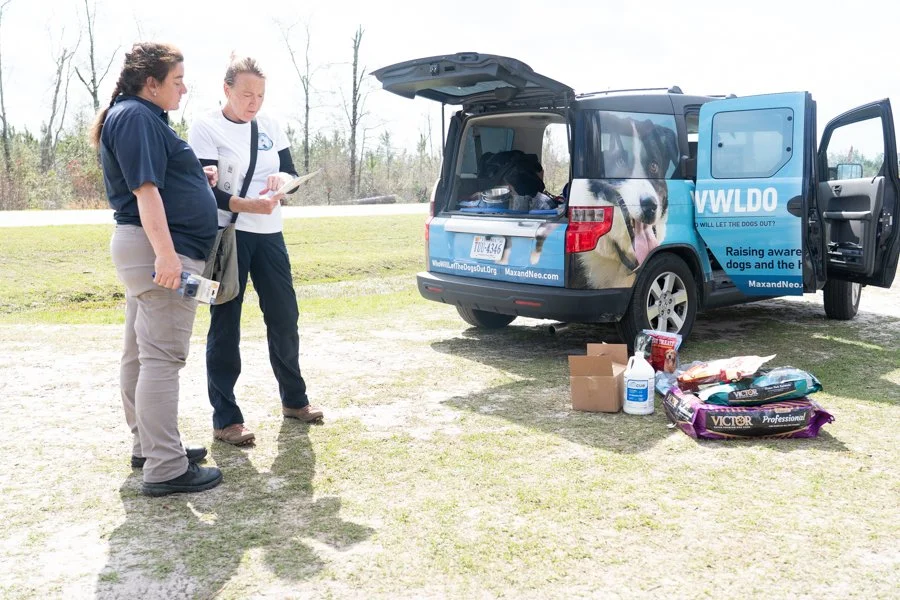 Building Stronger Shelters Through Community Connection