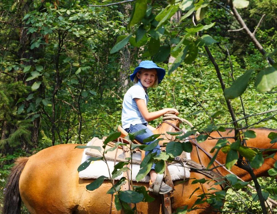 DSC04286-1024x682.jpg