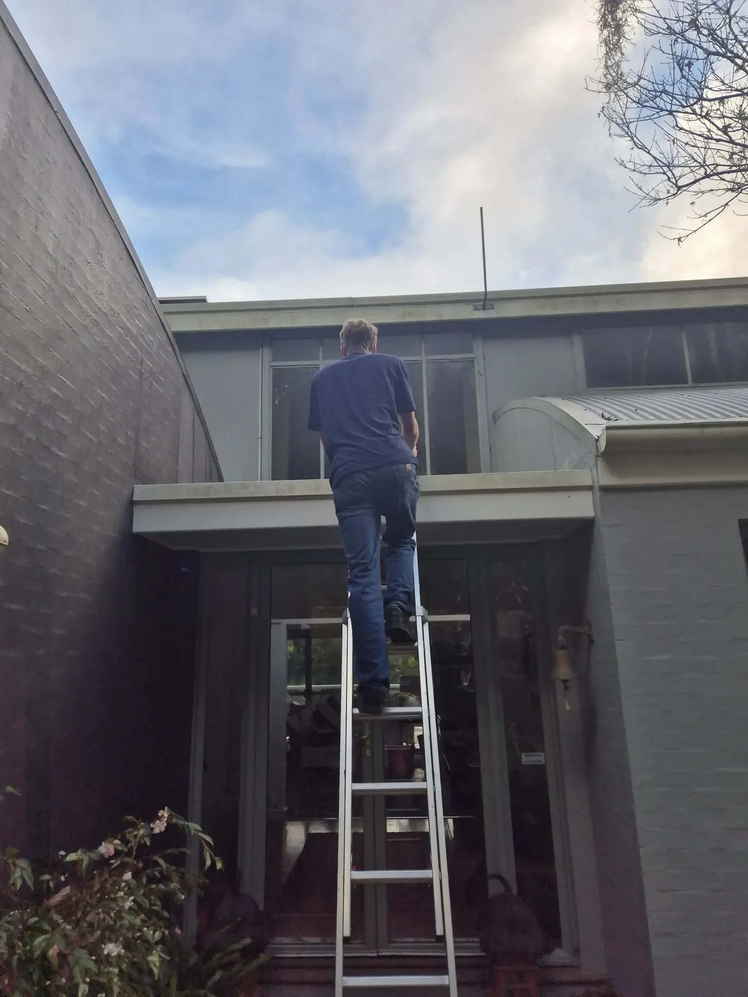 Shaunos on a ladder cleaning homes