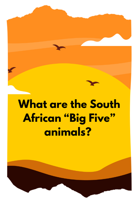 Trivia Card What are the South African "Big Five" animals?