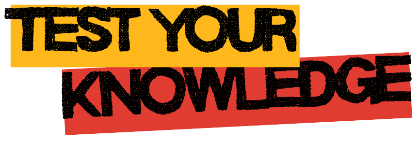 Headline: "Test Your Knowledge"