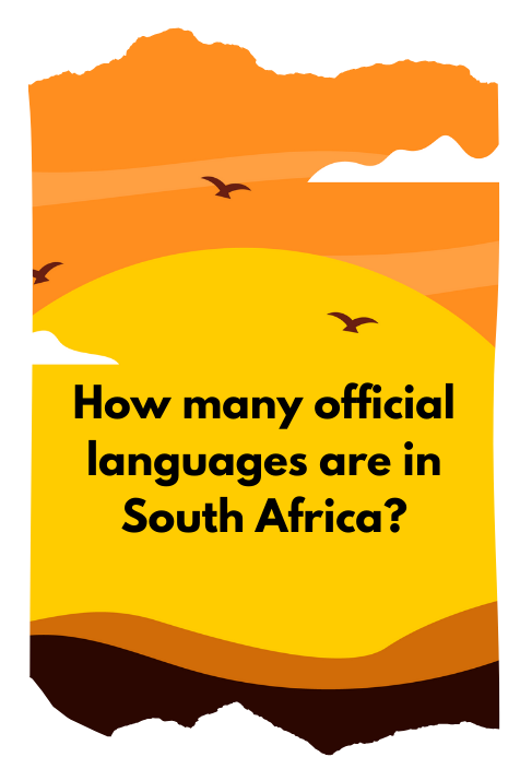 Trivia Card How many offical languages are sopken in South Africa?