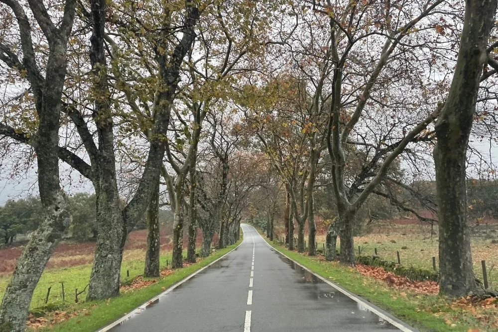 Fechar 2025 com mais leveza