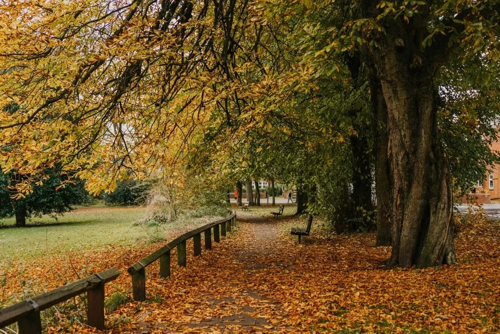 Menos peso no dia, mais clareza na mente.