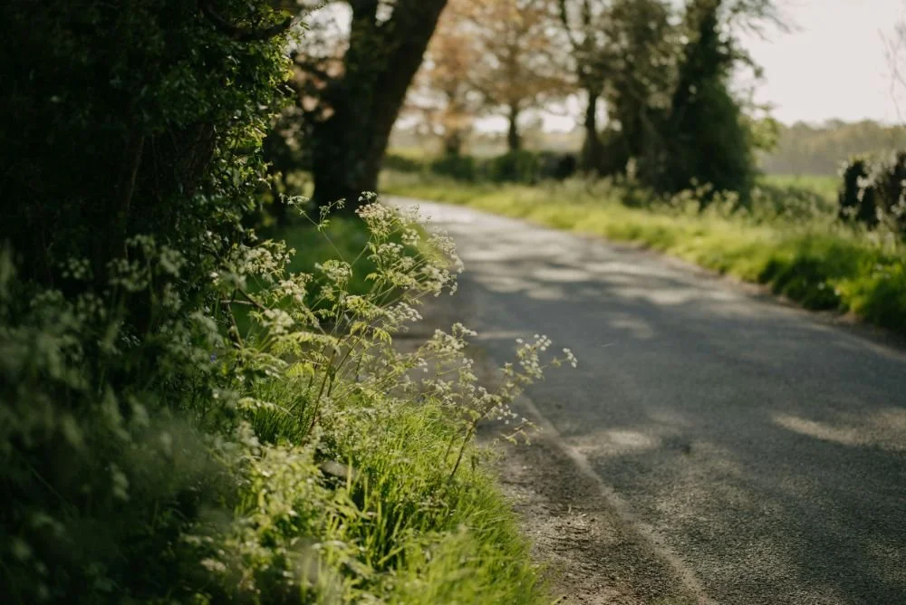 O corpo como ferramenta de clareza: quando a mente não pára, caminha