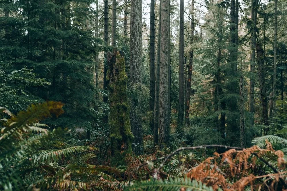 Conversas difíceis: o estado com que entras muda o desfecho