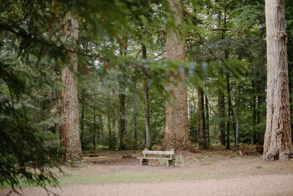 Menos urgência, mais critério: a pausa que melhora decisões e conversas