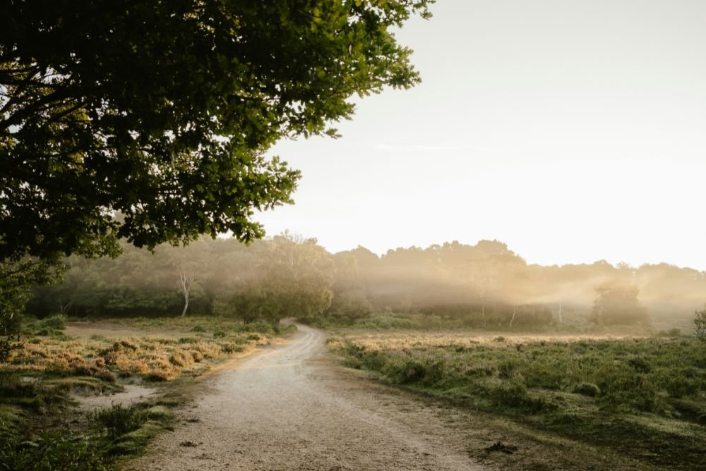 Depois de uma conversa tensa: como reparar sem te anulares