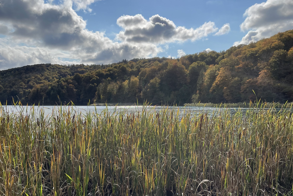 Menos microgestão, mais ritmo