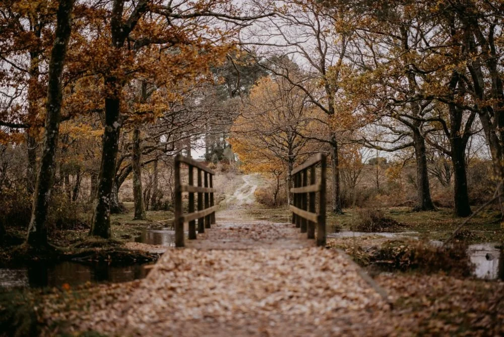Transições curtas: mudar de ritmo sem perder o dia