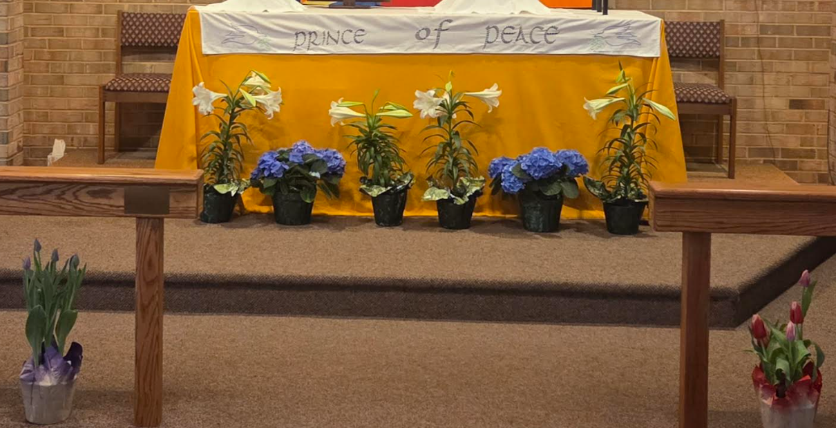Easter Flower Donations