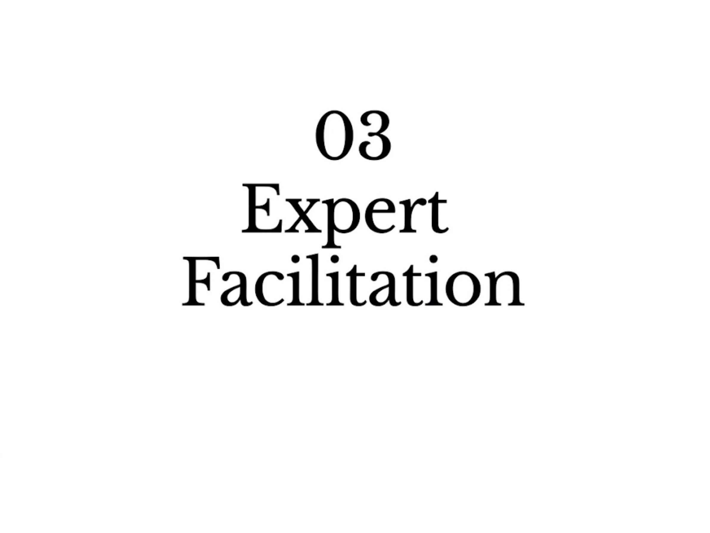 Text reading "03 Expert Facilitation" on a white background.