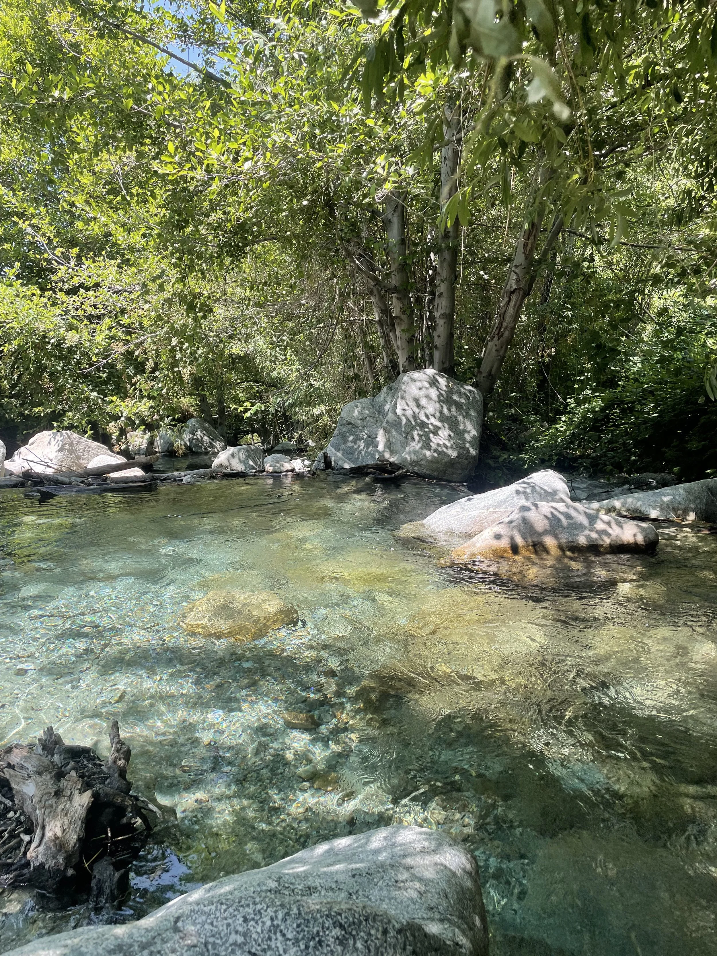 A clear shallow stream surrounded by rocks and lush green trees and bushes.