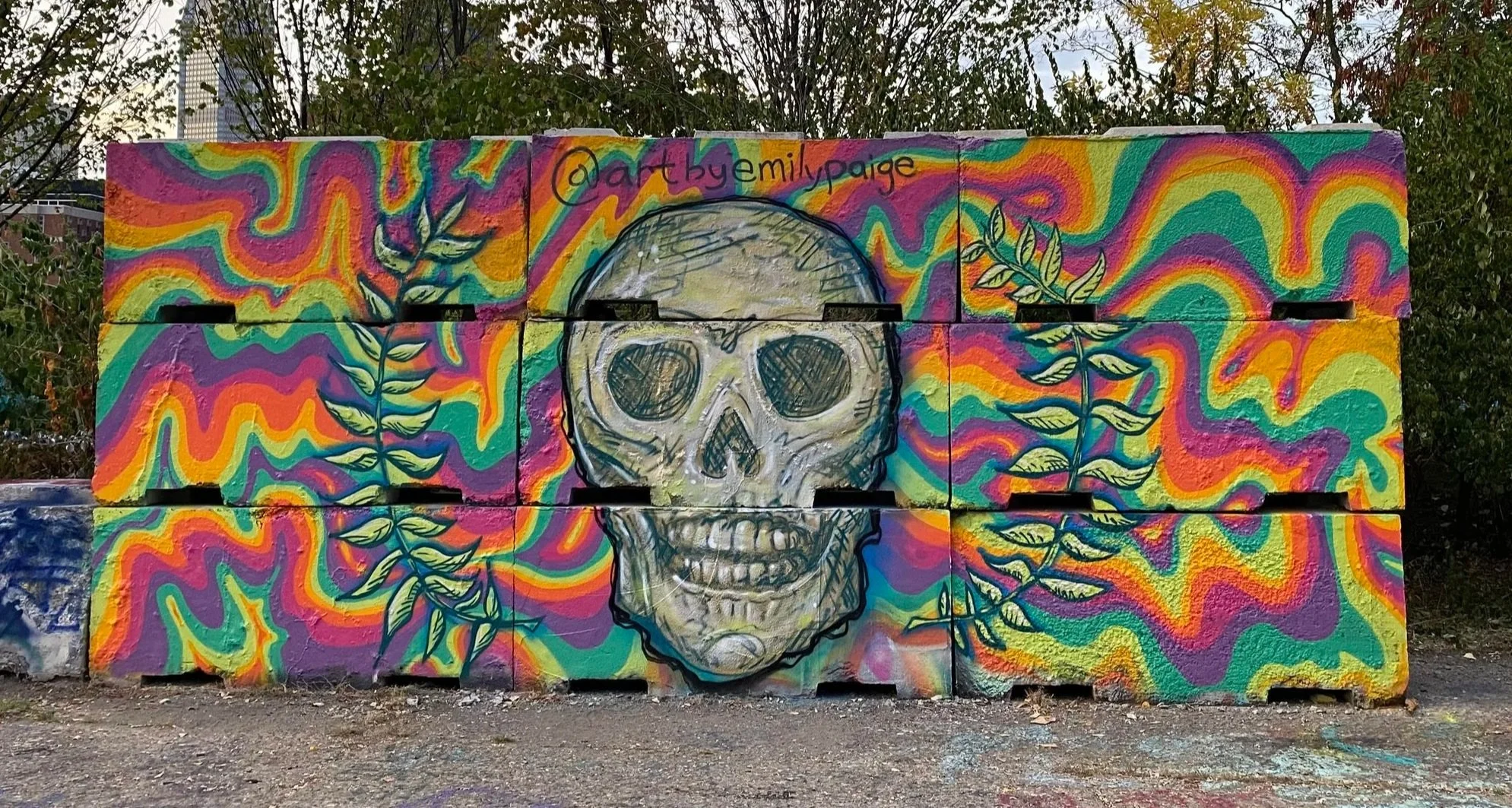 Skull & Fluid Technique Winning Mural for Slammin' Cans Mural Festival | Pittsburgh, PA. | 9 ft x 18 ft | Spray Paint | 2025