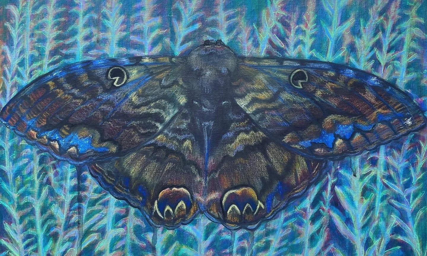 27D4B2C6-2E79-4D2A-9287-B88F0E05143A 2 (1).JPG