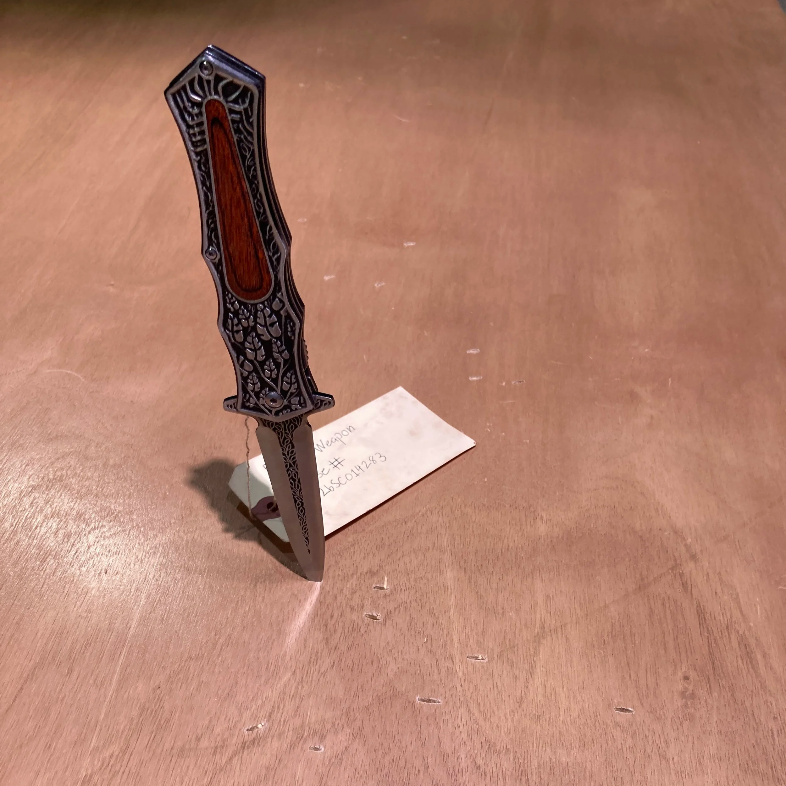 Twelve Angry Jurors - Technical Director