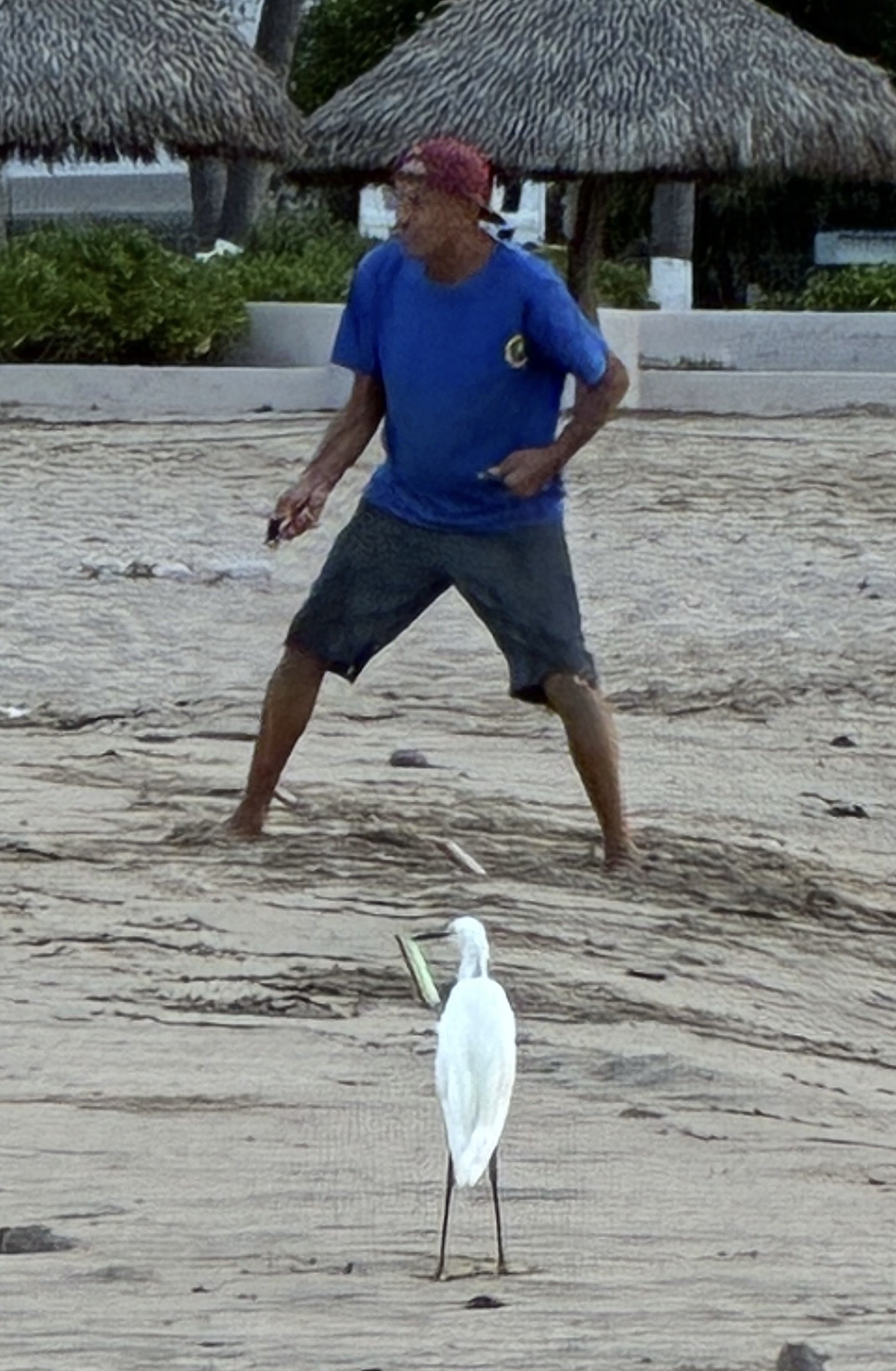 IMG_8223.jpeg
