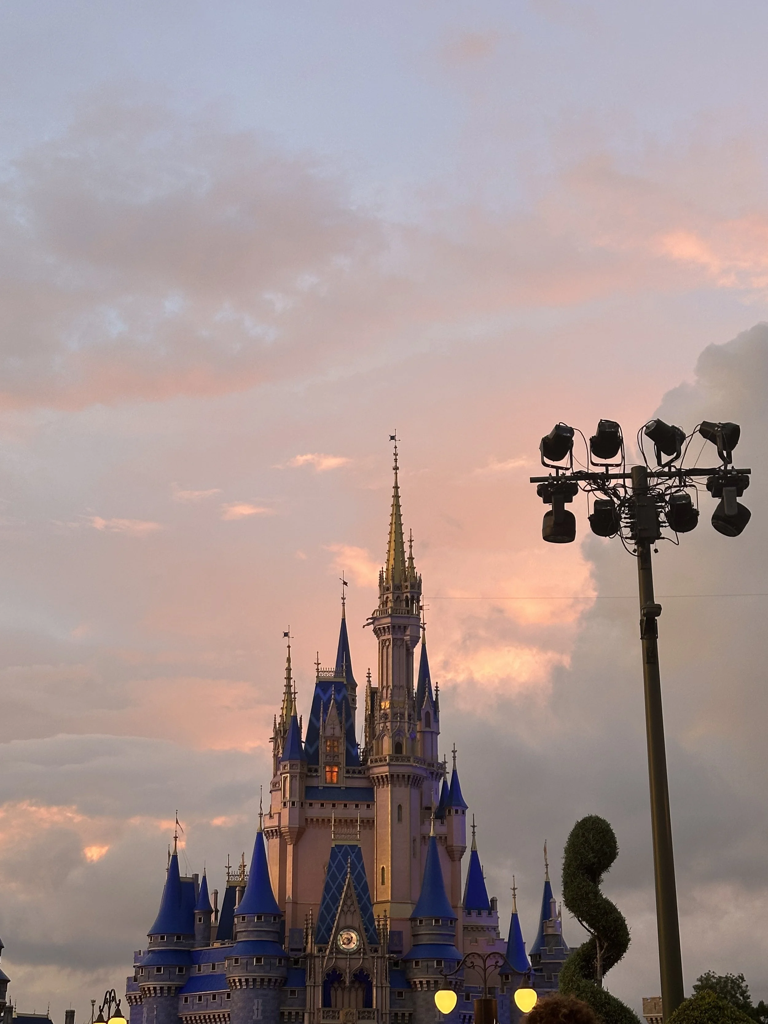 IMG_7037.jpeg