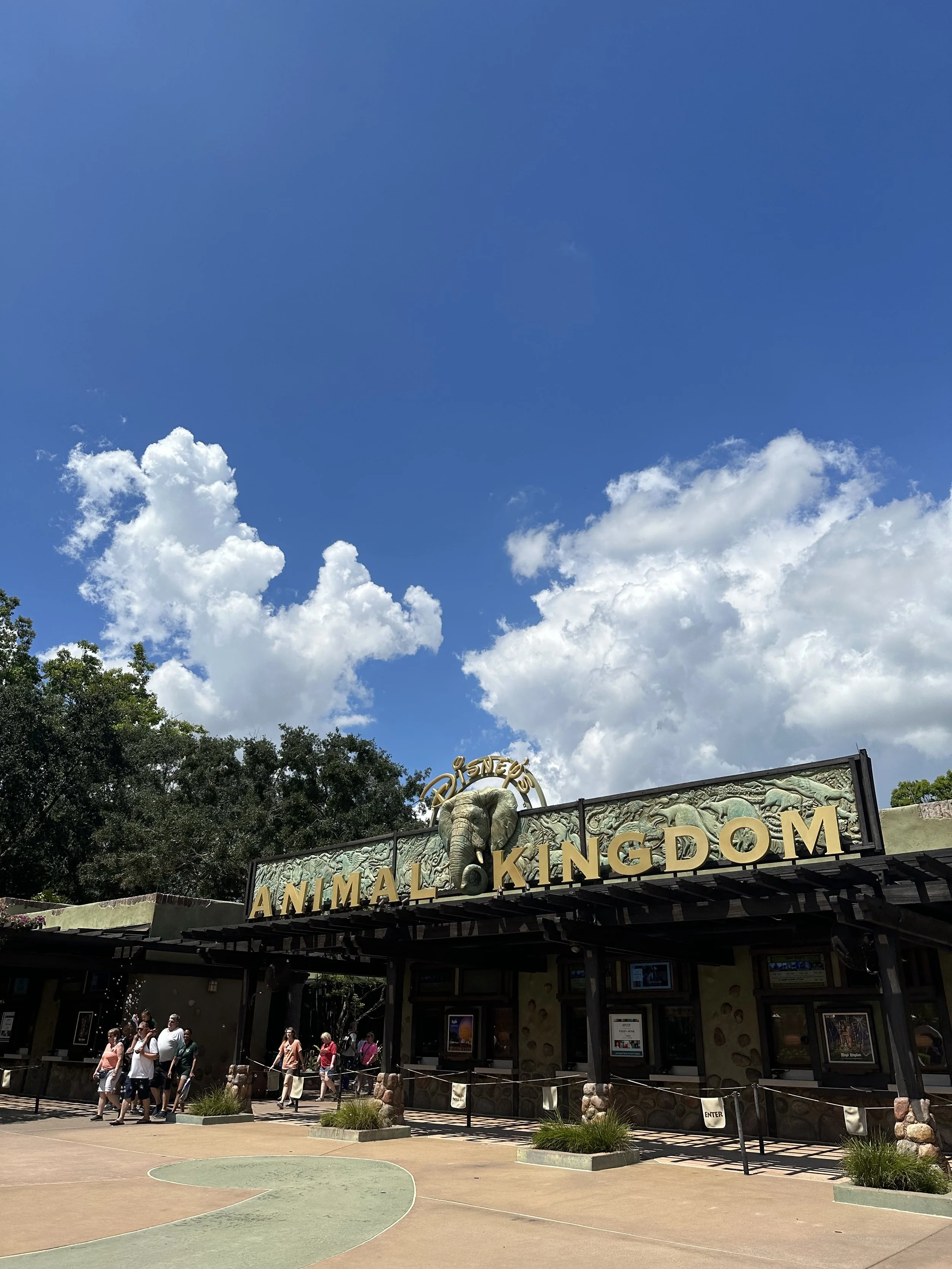 IMG_7323.jpeg