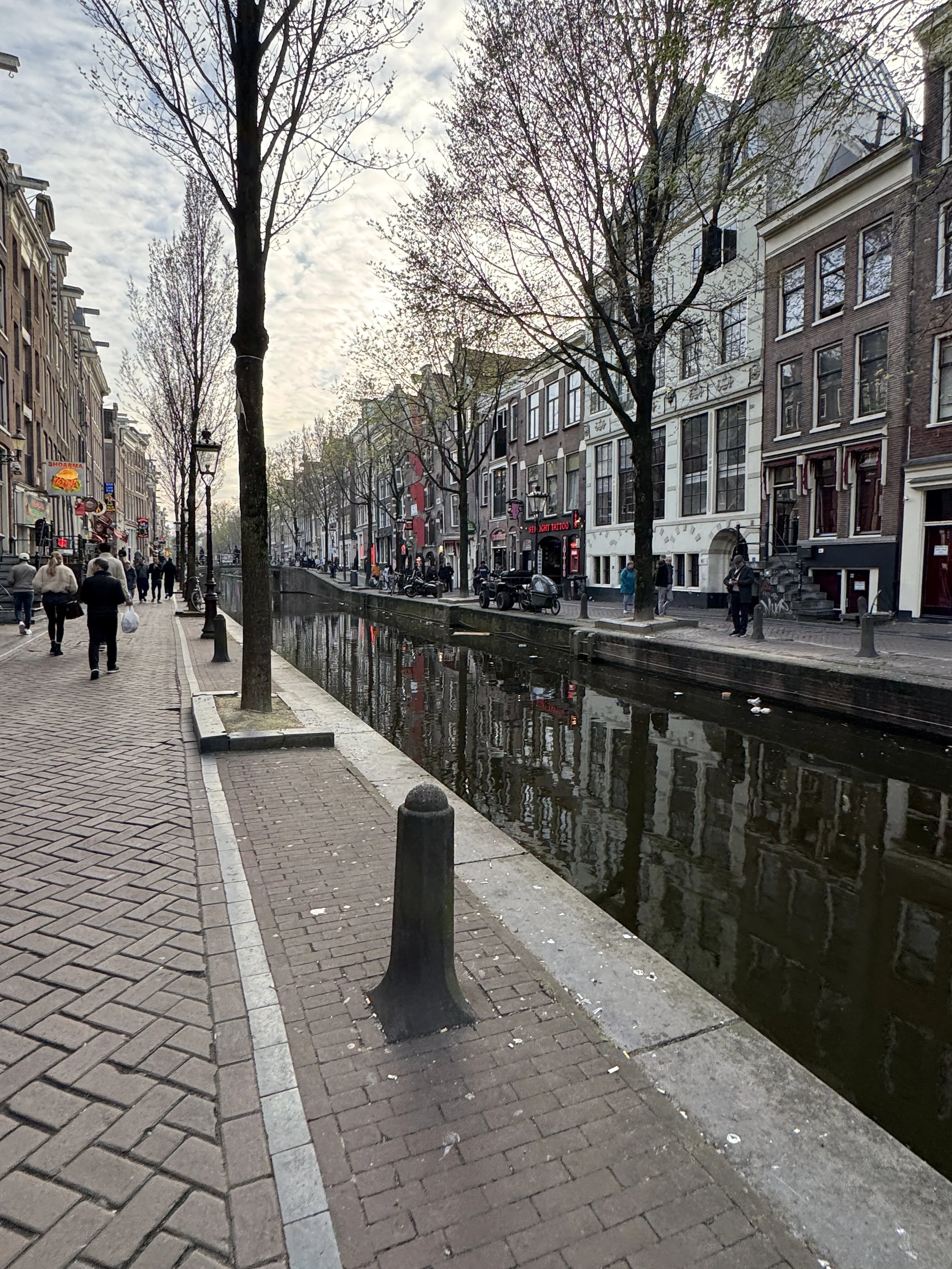 Canal-lined street in Amsterdam with trees, bikes, and historic buildings along the water