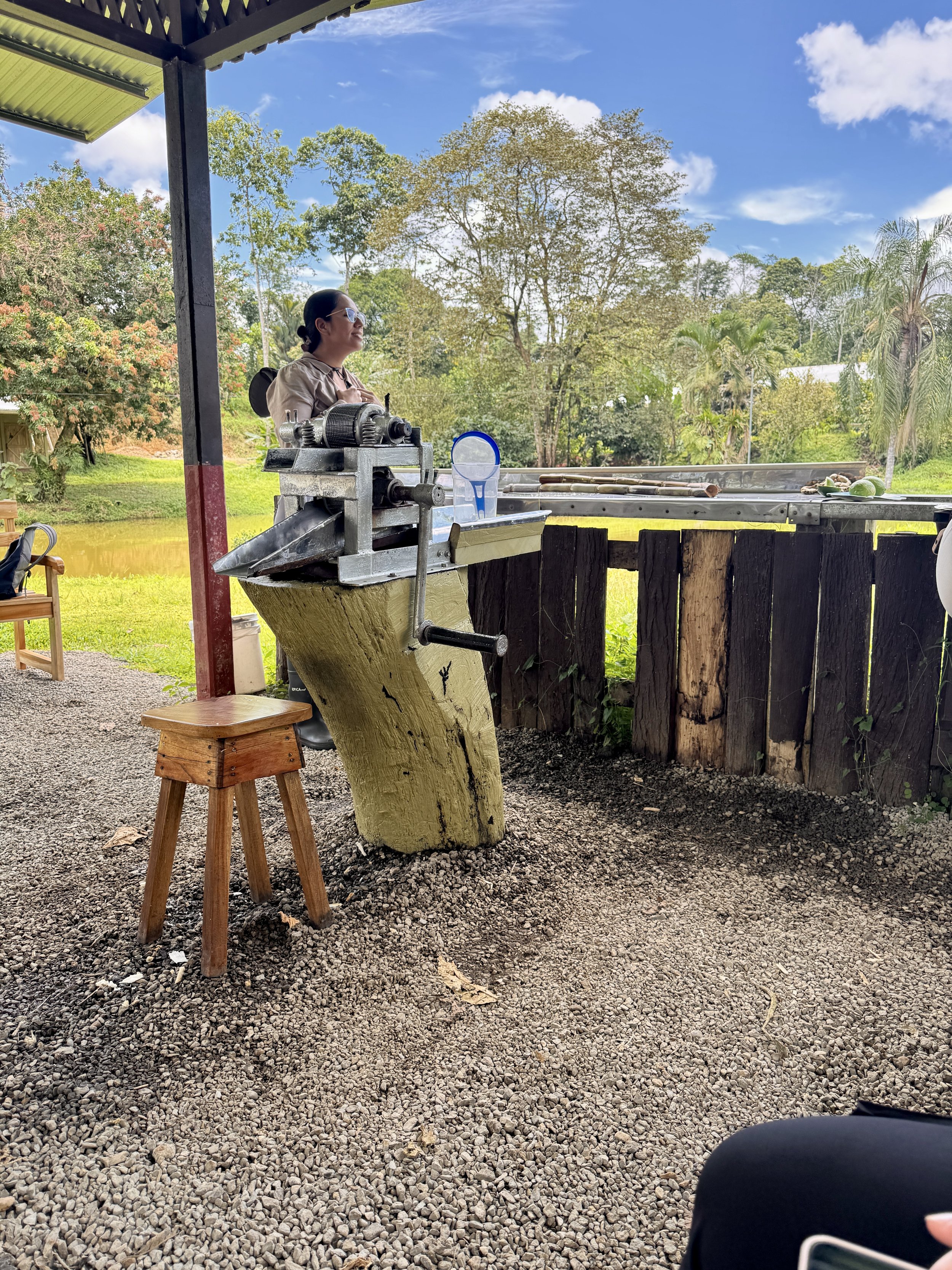 Manual sugar cane press used to extract fresh sugar cane juice during the farm tour.