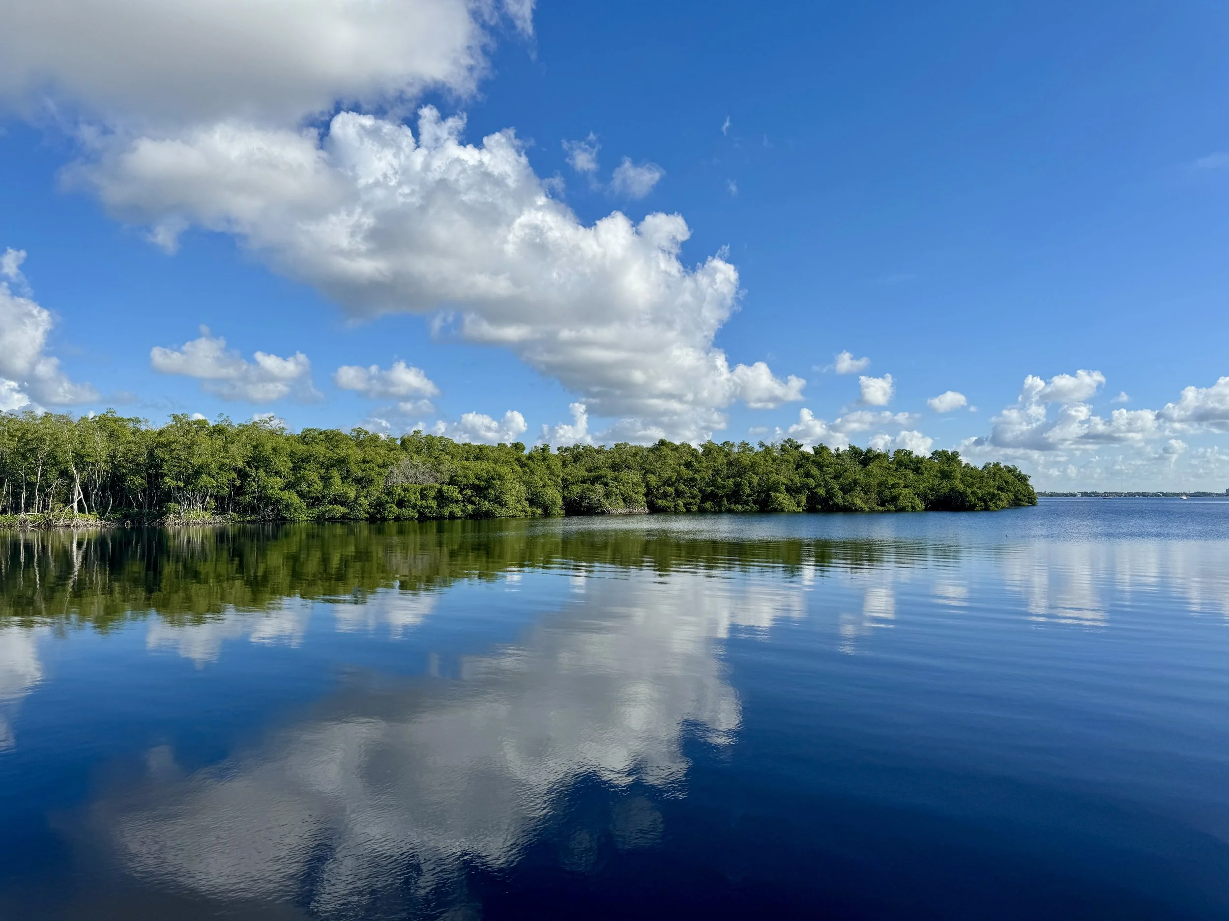 Calm river and mangrove shoreline at Four Mile Cove Ecological Preserve in Cape Coral Florida