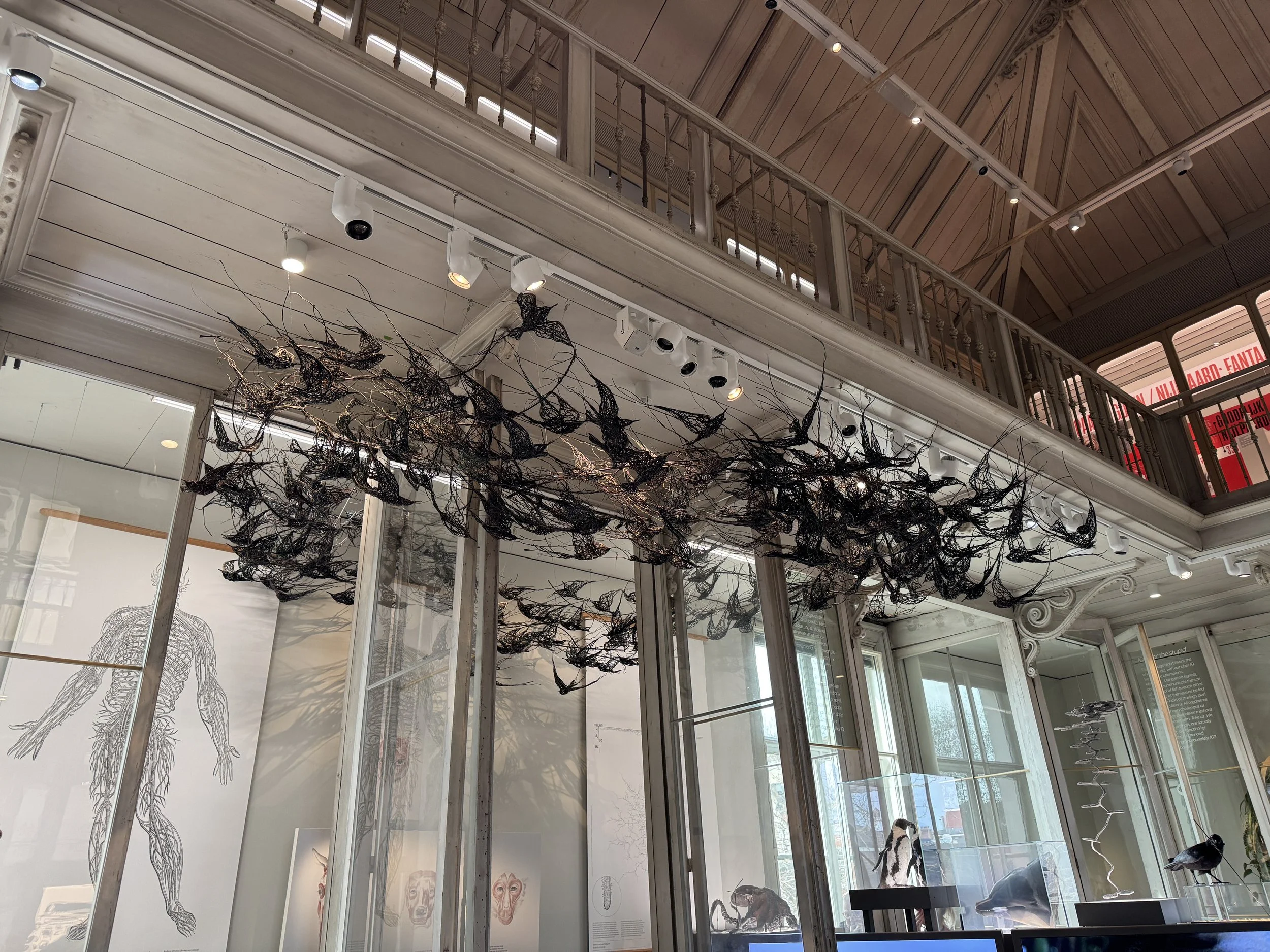 Art installation hanging from the ceiling inside ARTIS-Groote Museum in Amsterdam