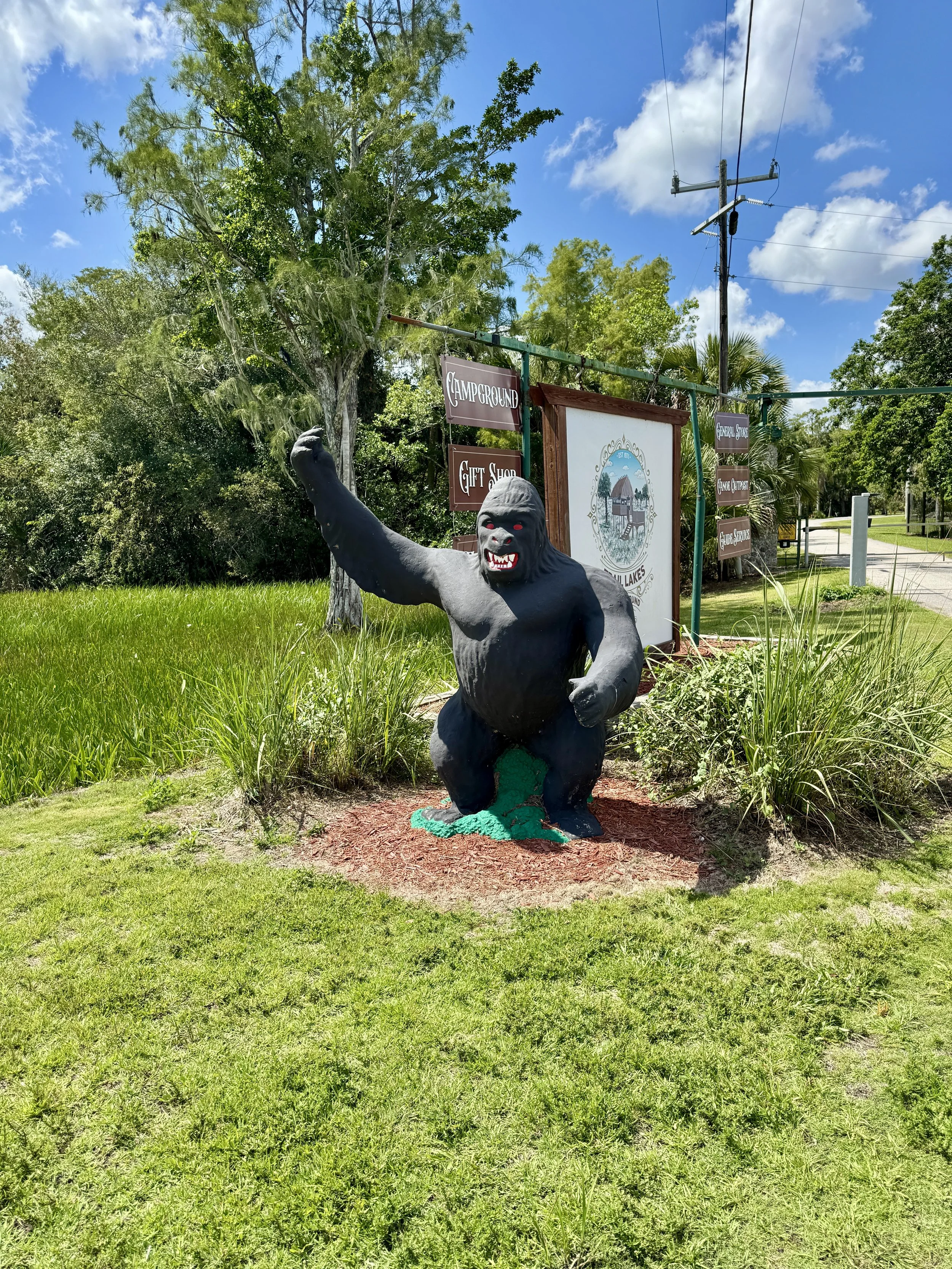 Kneeling skink ape statue displayed in landscaping outside the skunk ape research headquarters in the florida everglades