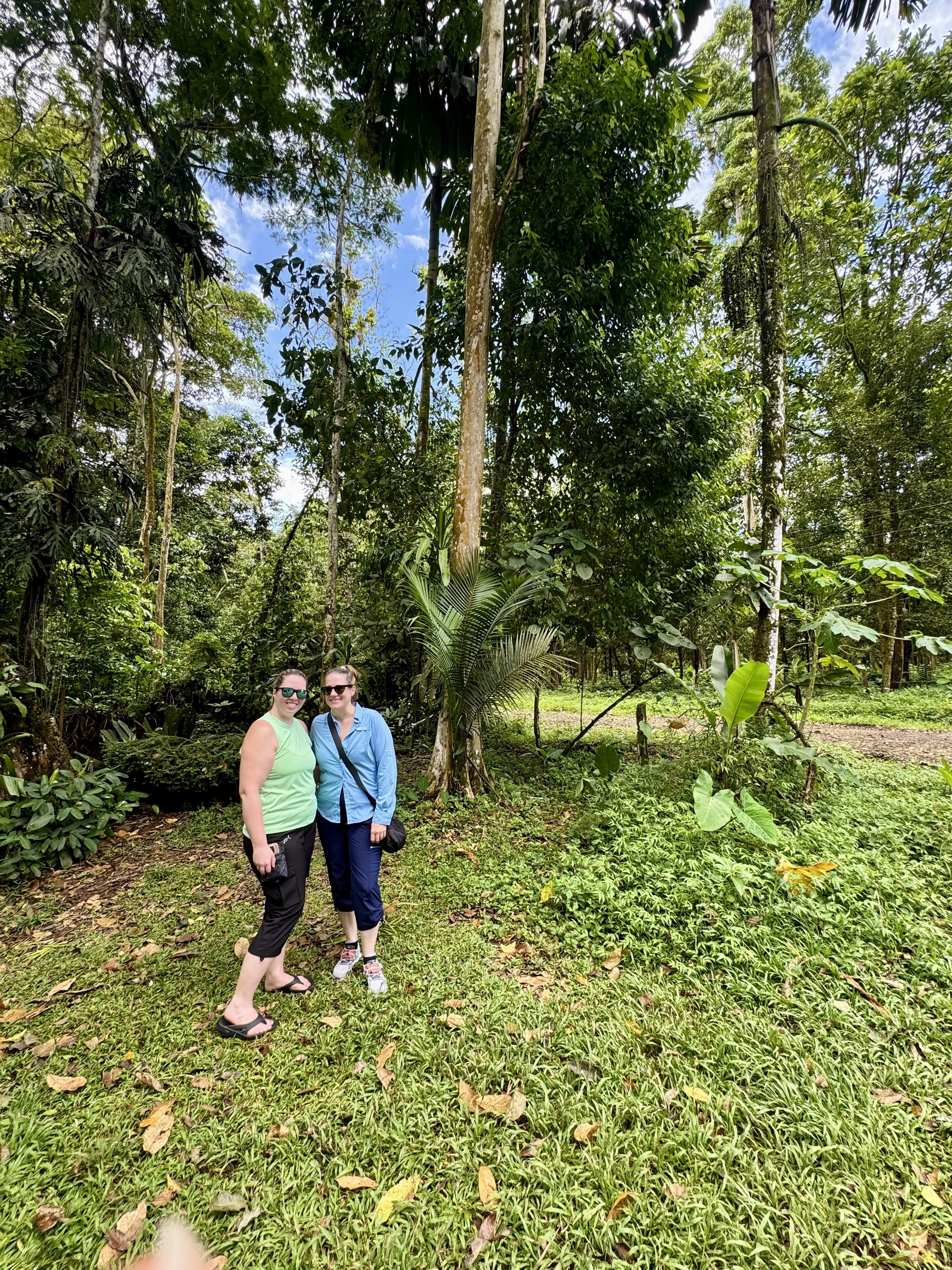 Two visitors walking along a grassy path through tall tropical trees on the farm.