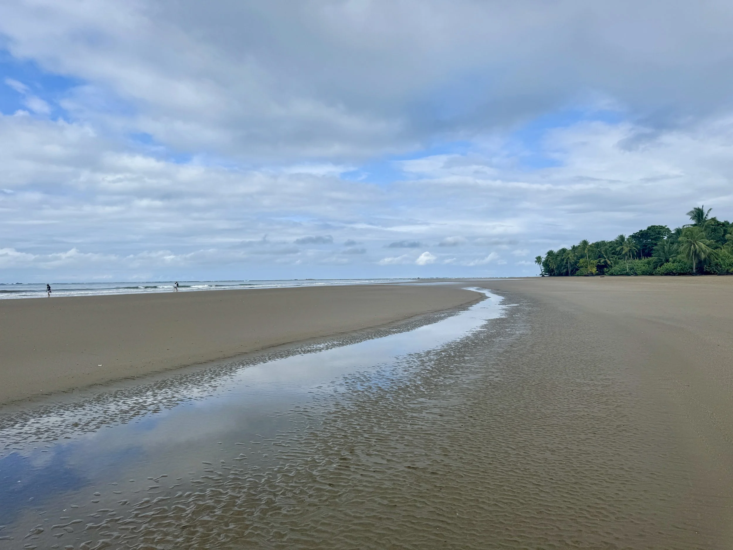 Shallow tidal stream curving through wet sand toward the ocean, forming part of the whale tail at Marino Ballena National Park.