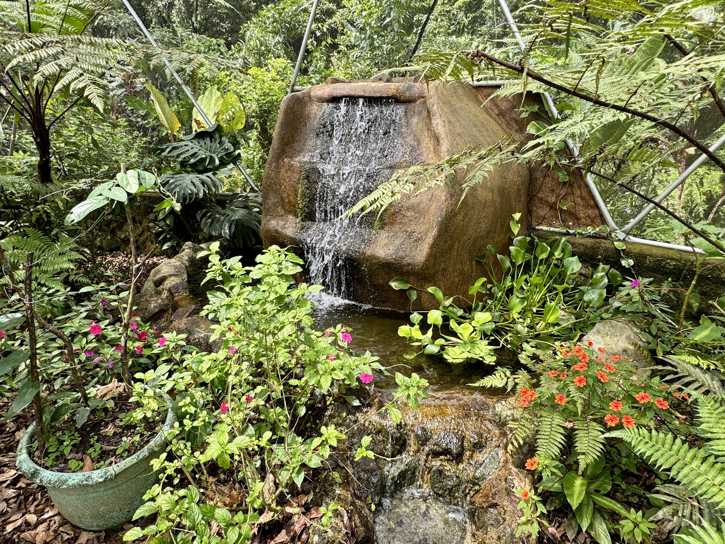 Small waterfall feature inside the Butterfly Oasis dome surrounded by plants and flowers.