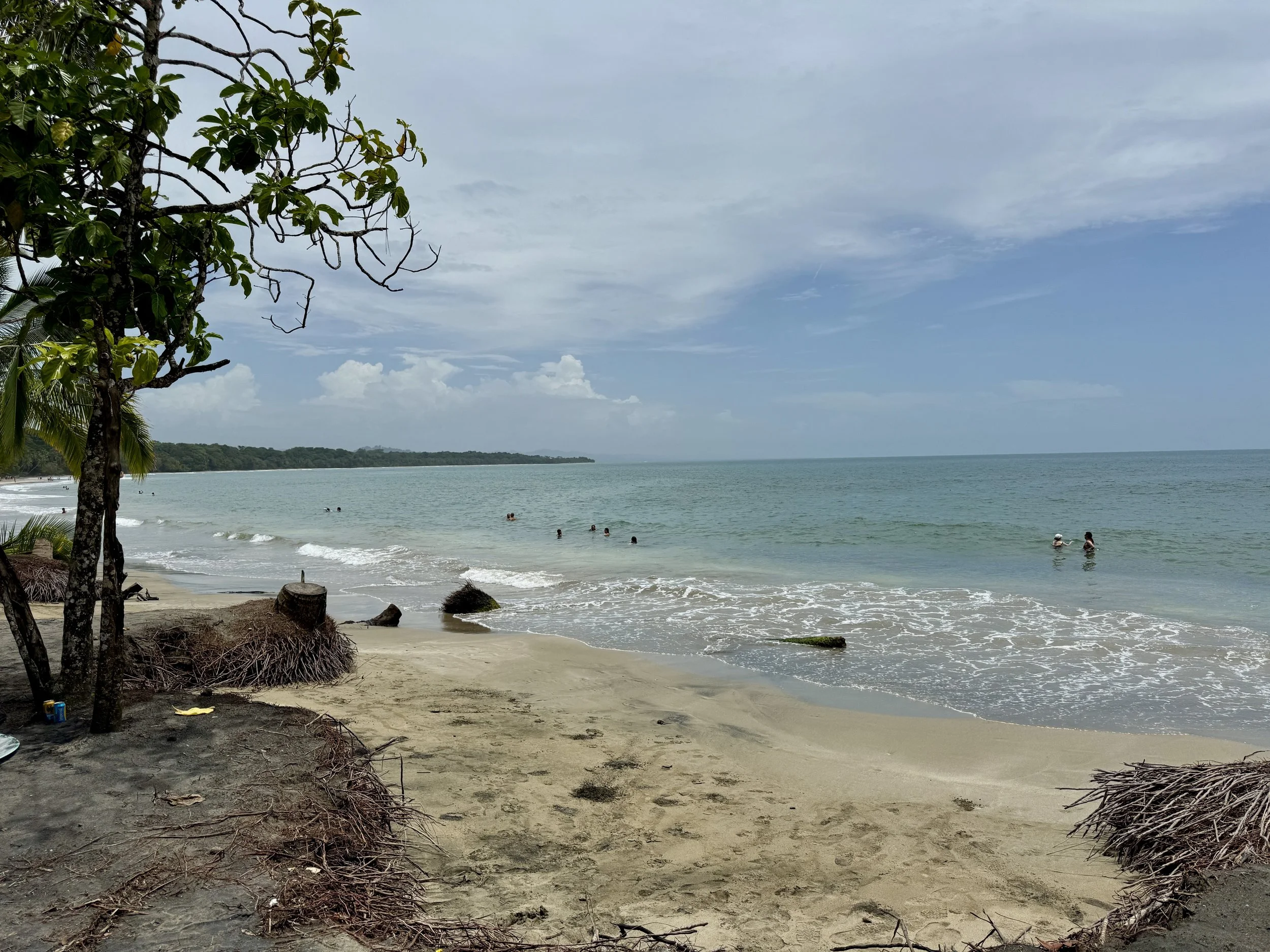 Sandy beach in Manzanillo with gentle waves, rocks, and tree shade along the shoreline.