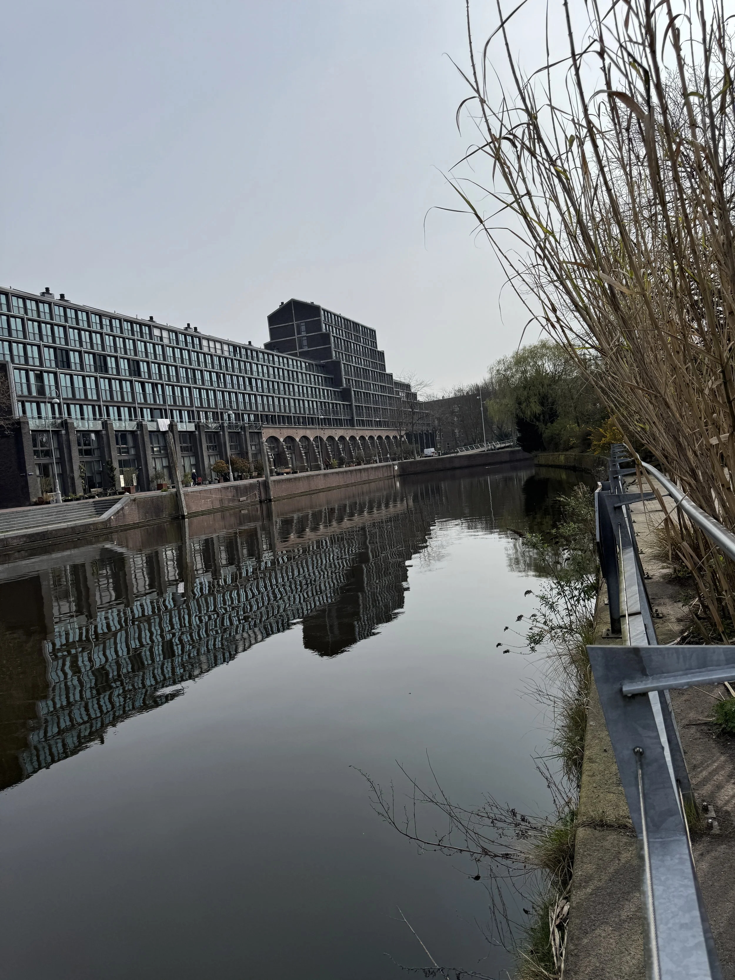 Canal view near ARTIS Zoo in Amsterdam with buildings reflecting on calm water