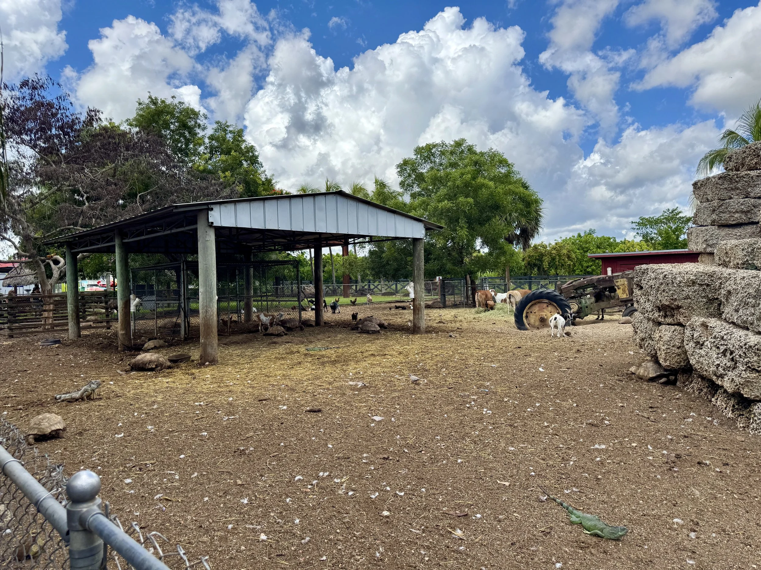 Animal pens and farm area at Robert is Here Fruit Stand in Homestead Florida