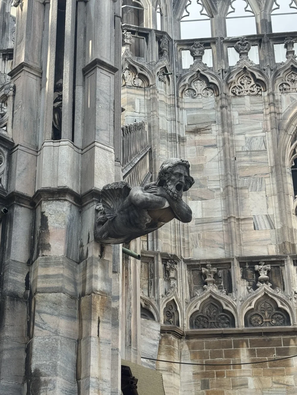 Carved stone gargoyle projecting from the Gothic facade of Milan Cathedral.