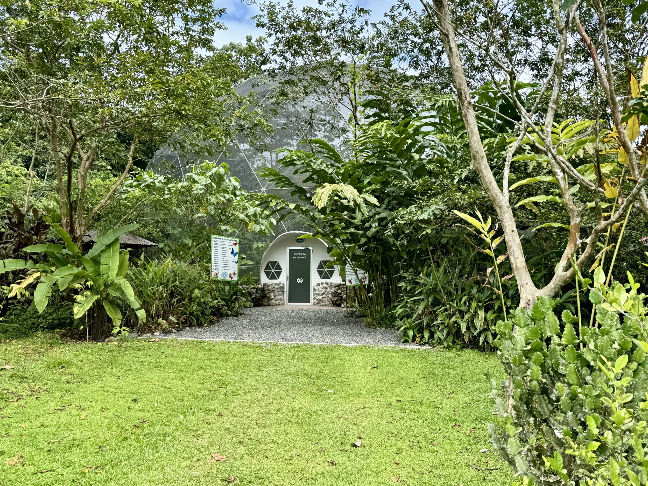 Garden pathway leading to the Butterfly Oasis dome surrounded by tropical greenery.