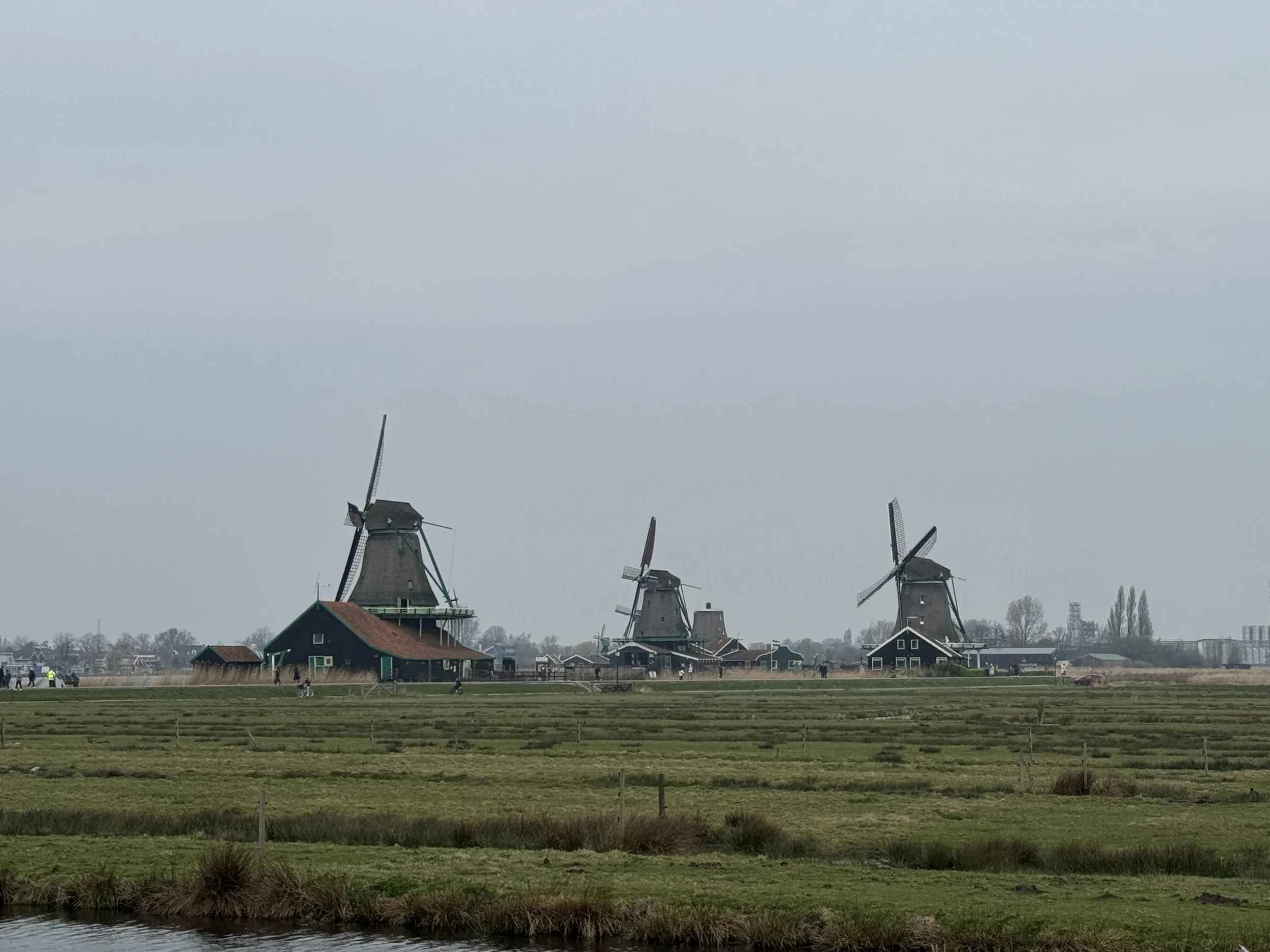 Multiple historic windmills across green fields at Zaanse Schans Netherlands