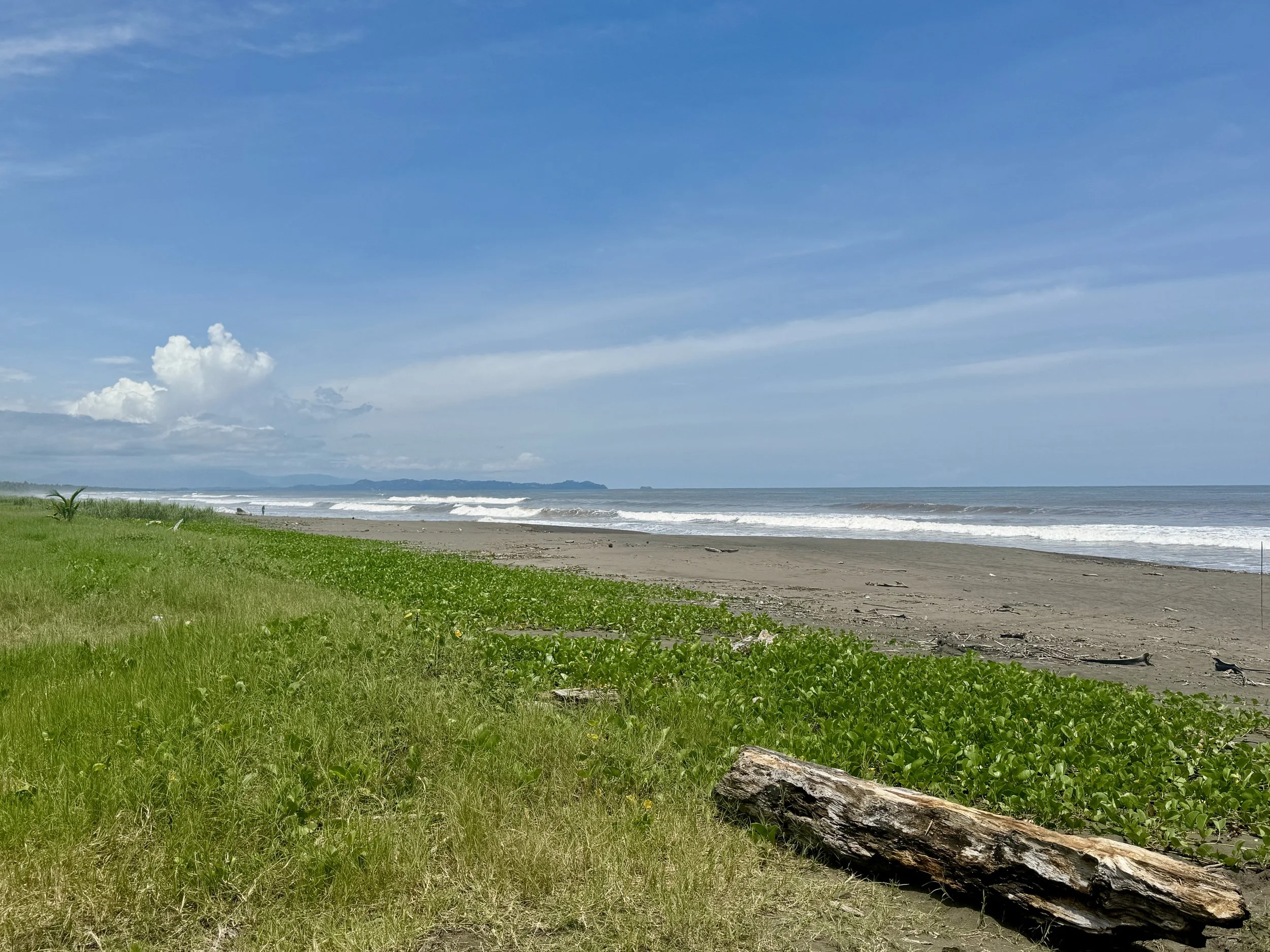 Wide sandy beach with grassy shoreline and distant waves under a bright blue sky in Esterillos, Costa Rica.