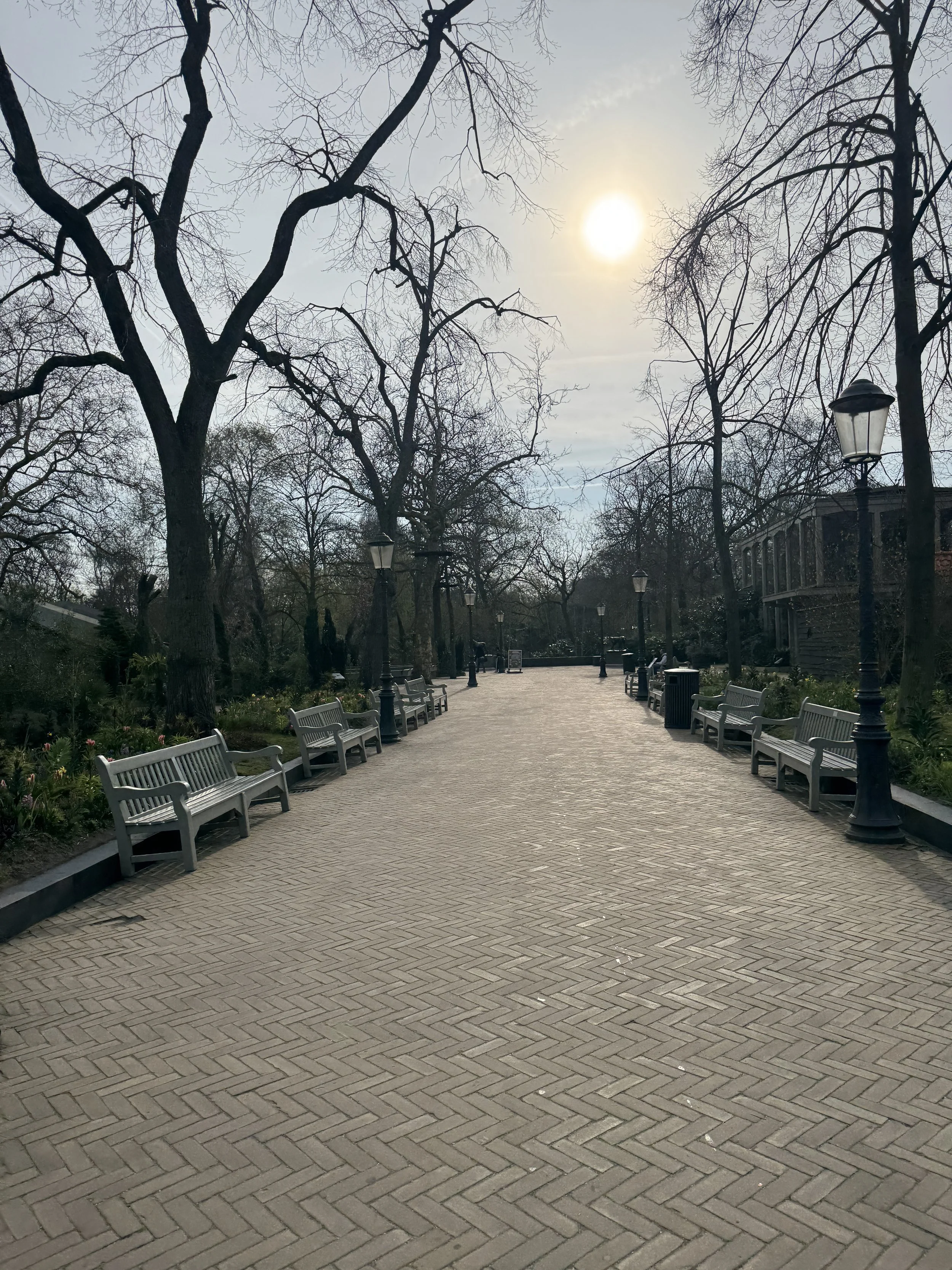 Tree-lined walking path inside ARTIS Zoo in Amsterdam on a sunny day