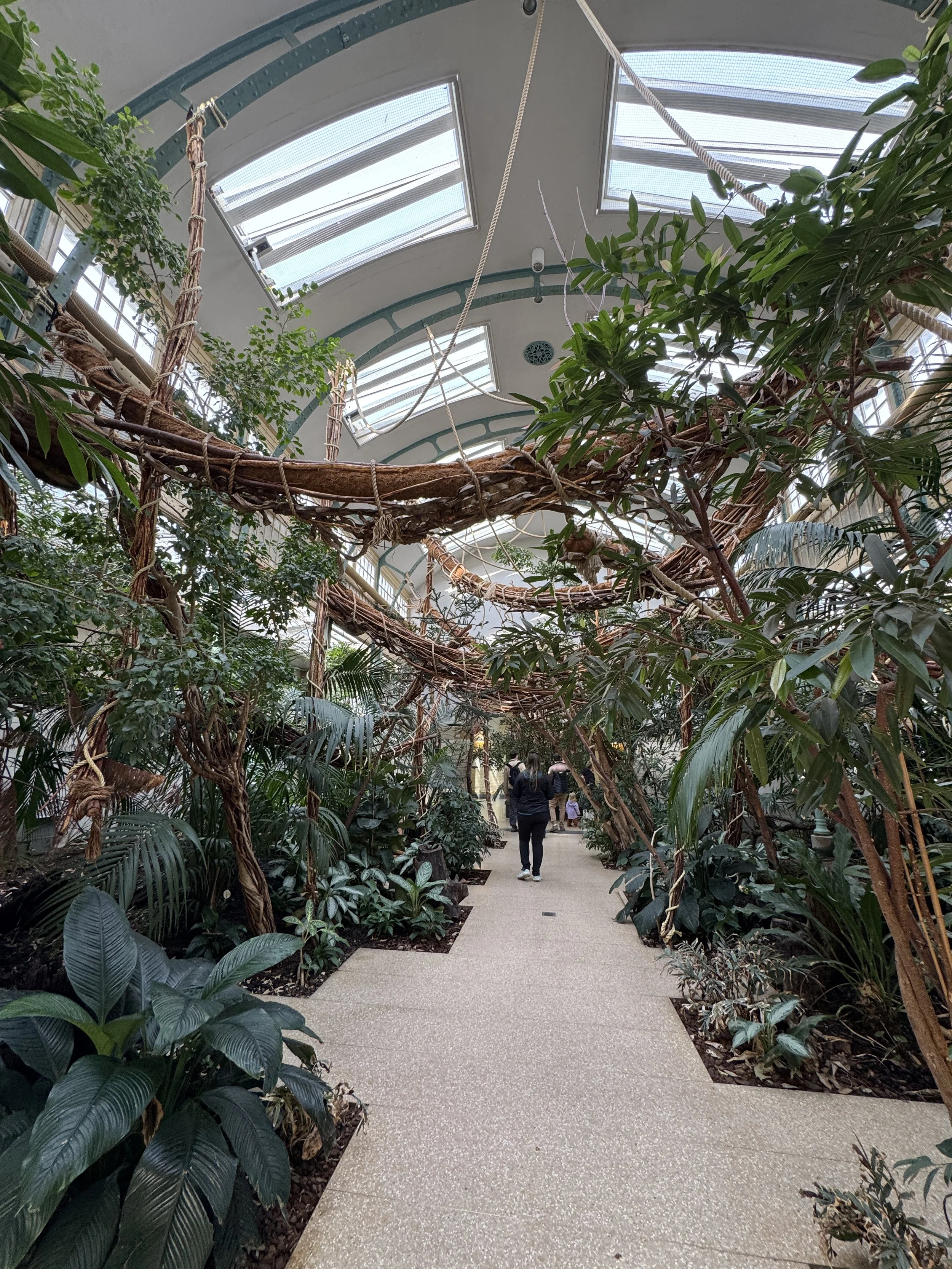 Indoor tropical greenhouse walkway with lush plants at ARTIS Zoo in Amsterdam