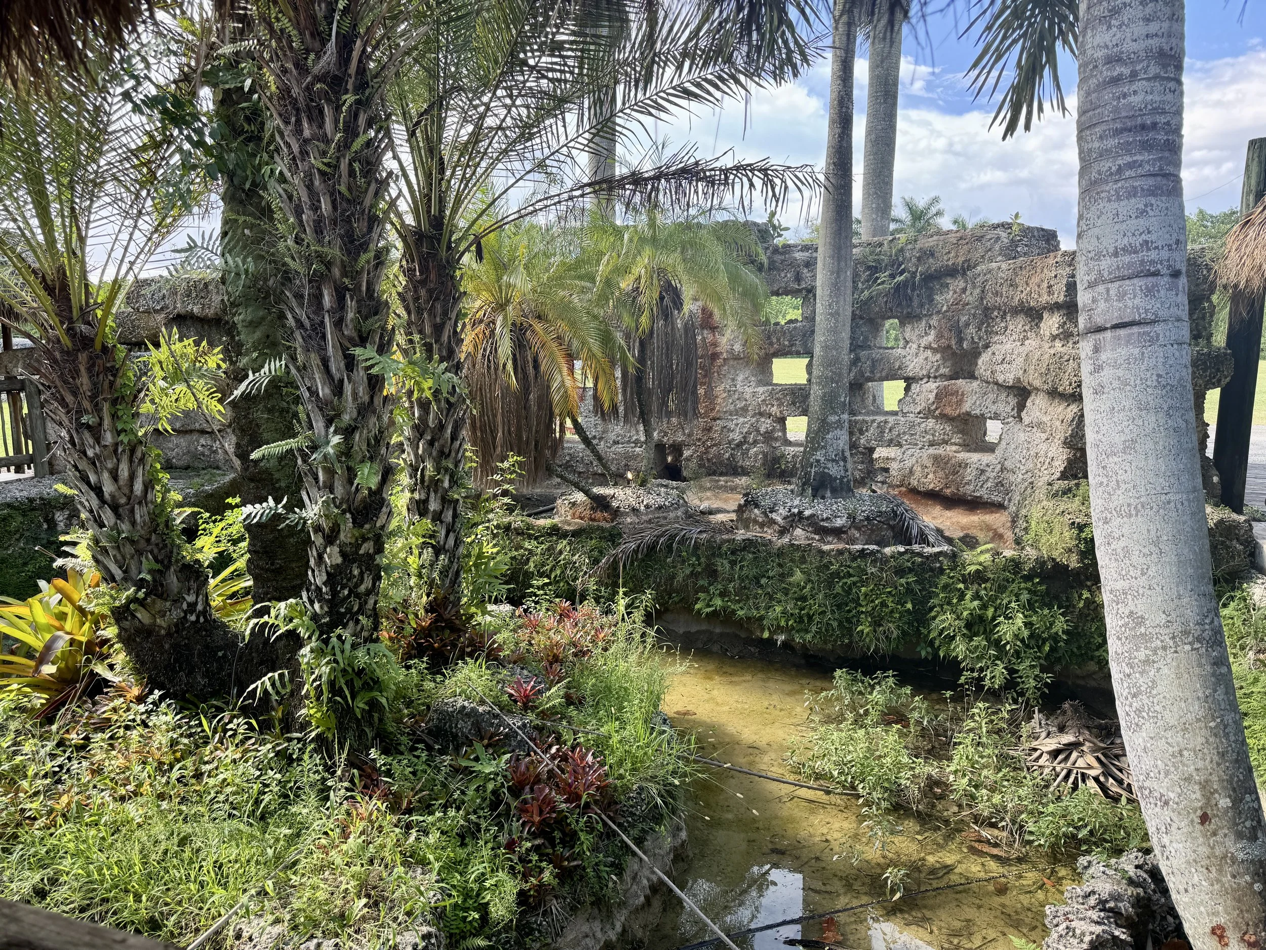 lush garden pathway with palm trees tropical plants and a small stream through the winery grounds