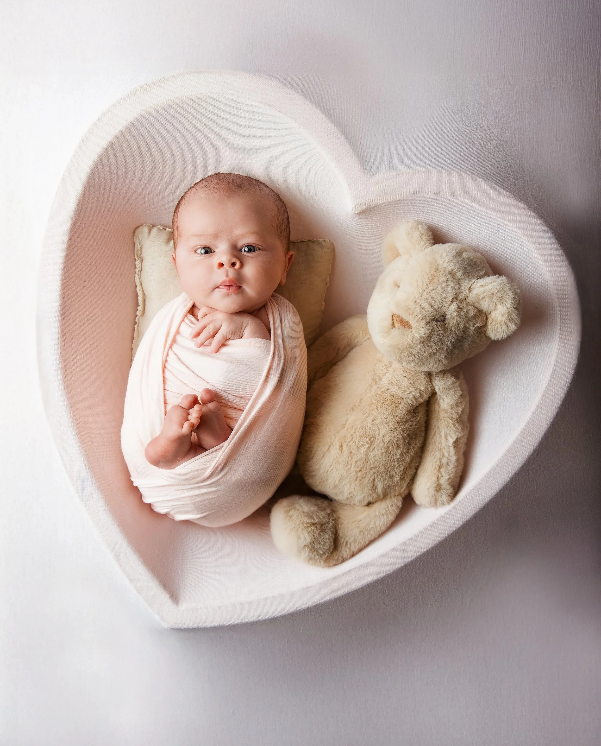 newborn girl in a heart with a teddy her big brother bought her next to her. she is wearing a pink wrap and has eyes wide open looking at the camera. background is pink