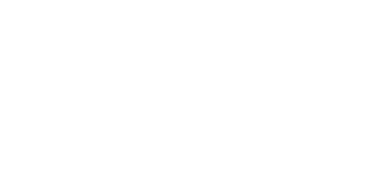 T-ROY