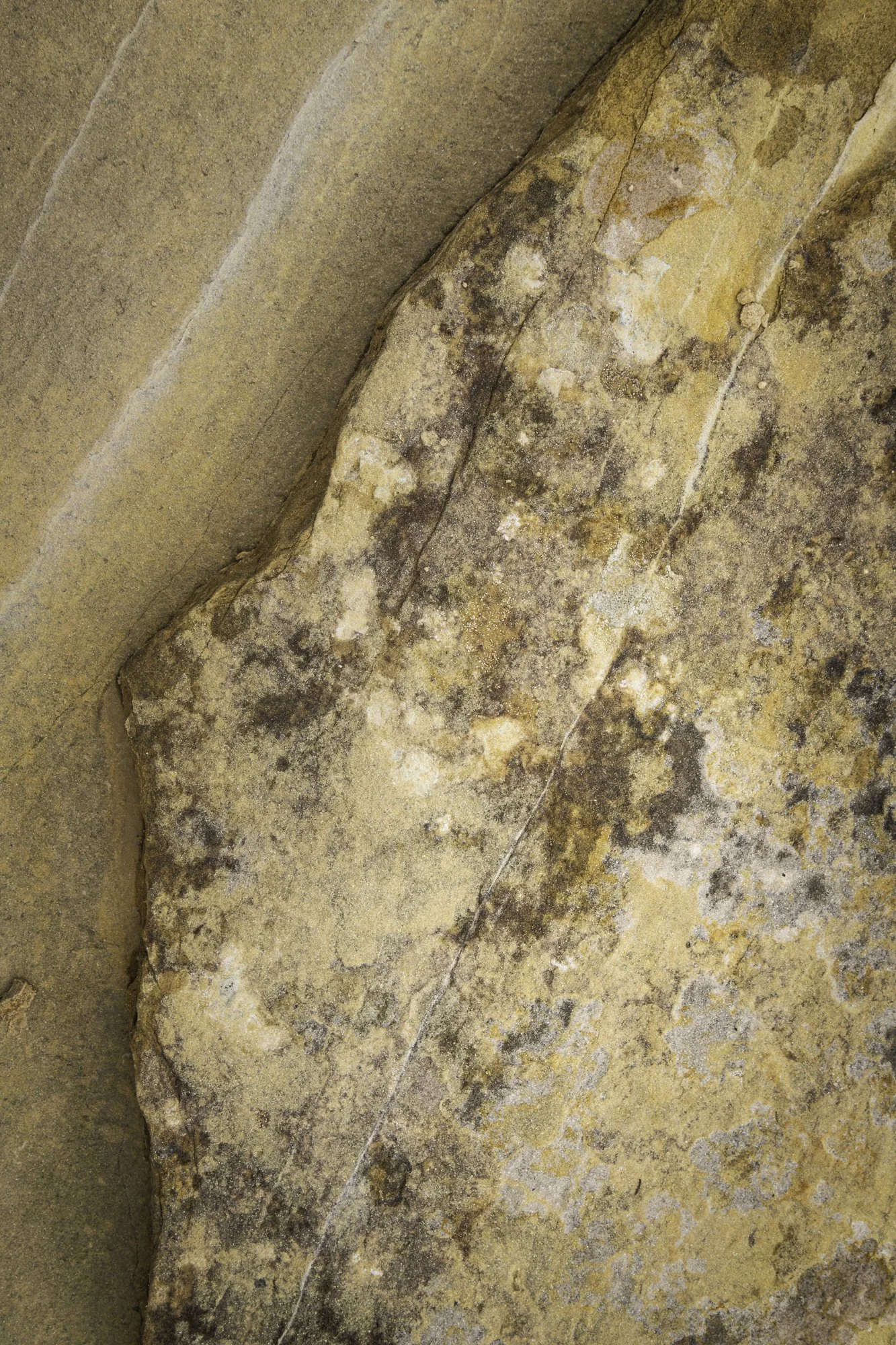 Layers 4