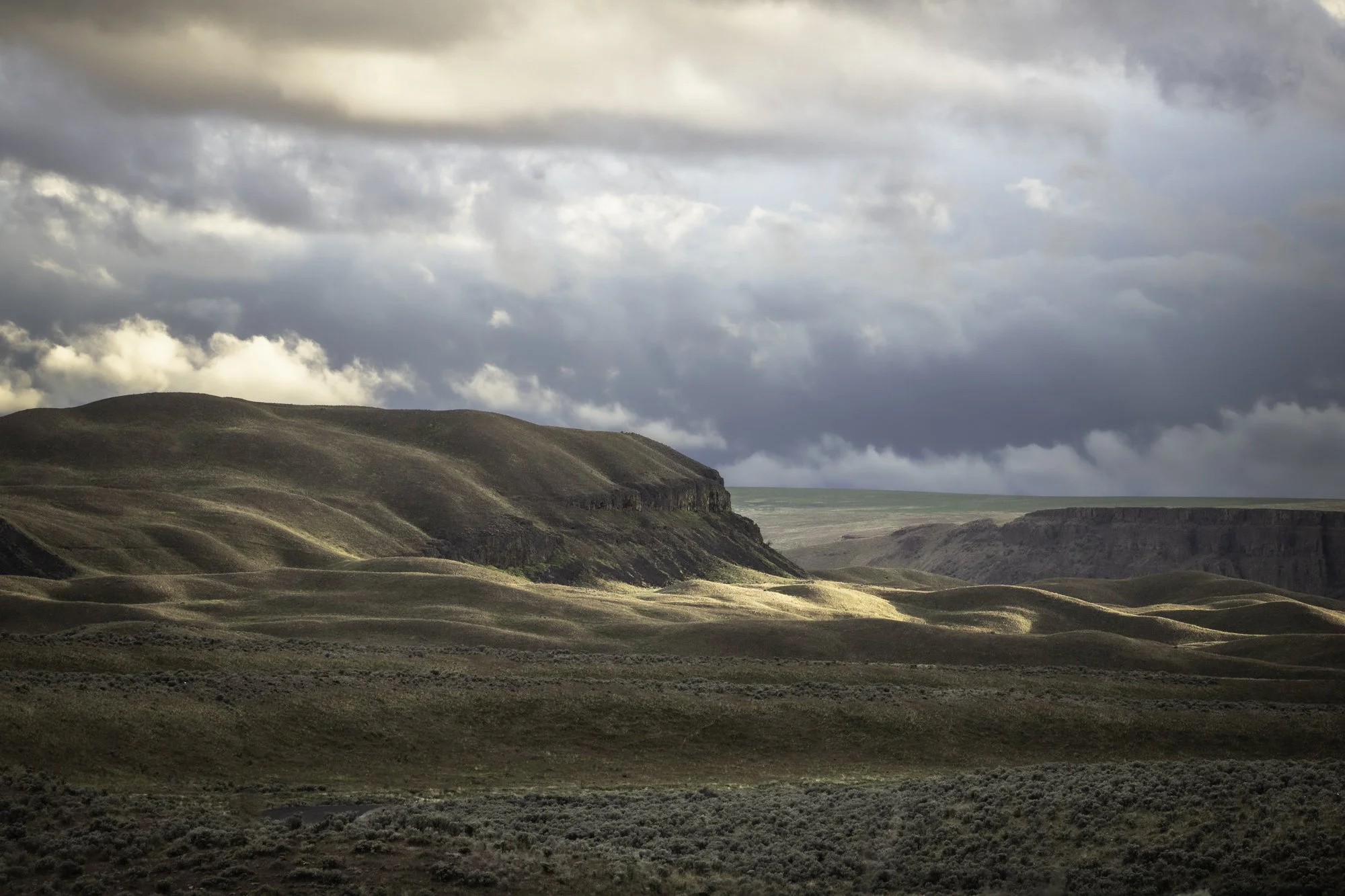 Moses Coulee